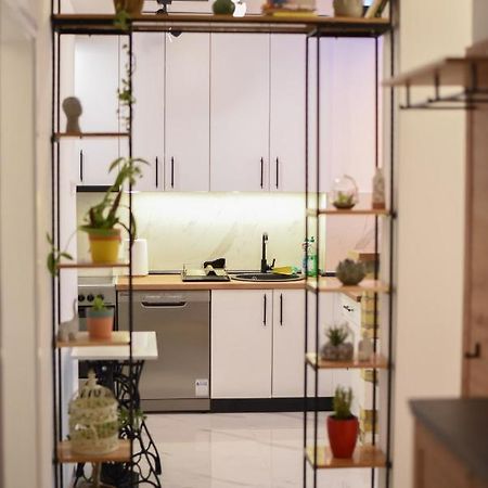 Garden Apartment - Oaza U Centru Grada Нови Сад Екстериор снимка
