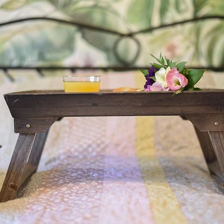Garden Apartment - Oaza U Centru Grada Нови Сад Екстериор снимка
