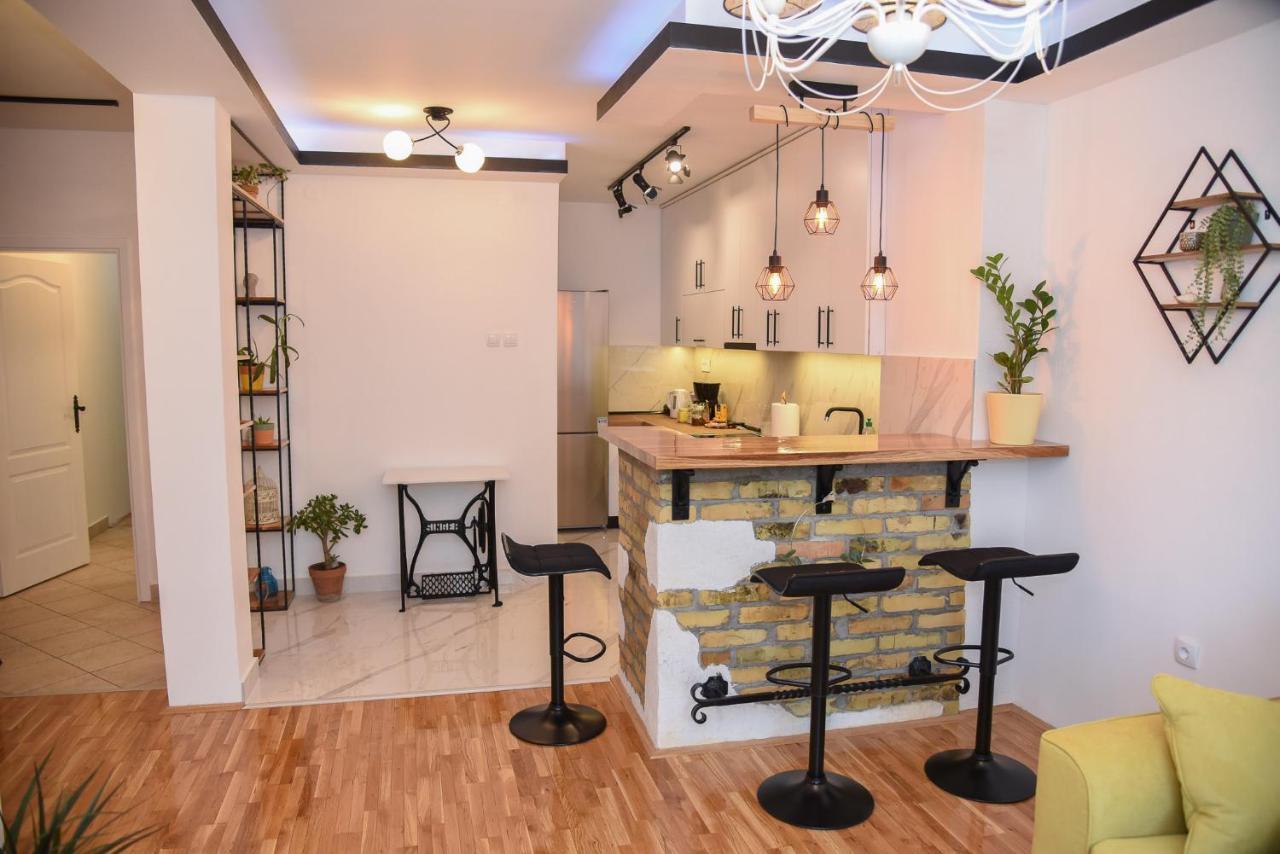 Garden Apartment - Oaza U Centru Grada Нови Сад Екстериор снимка