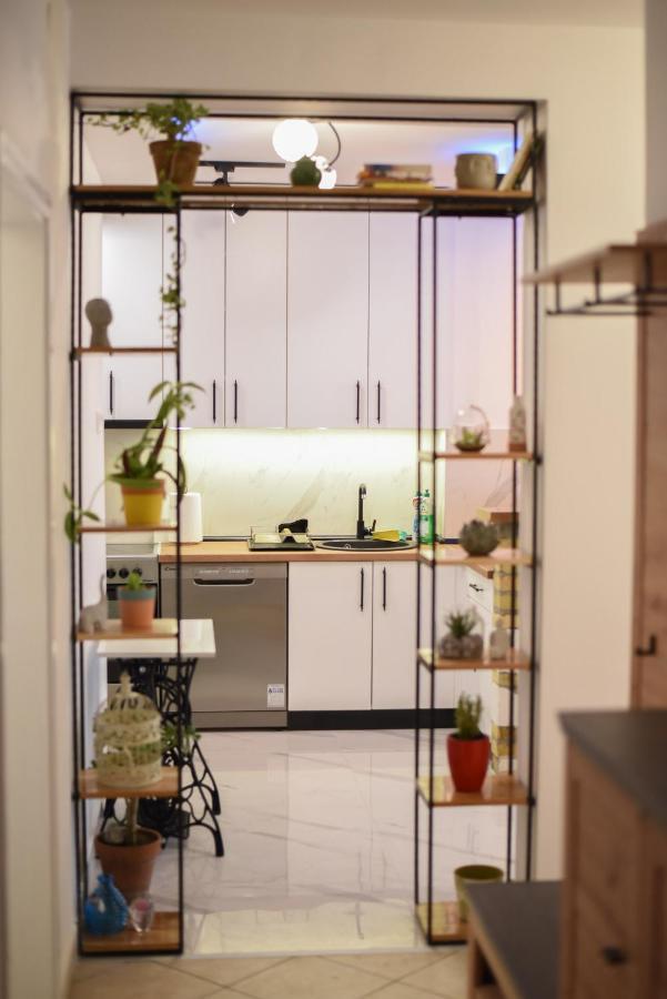 Garden Apartment - Oaza U Centru Grada Нови Сад Екстериор снимка