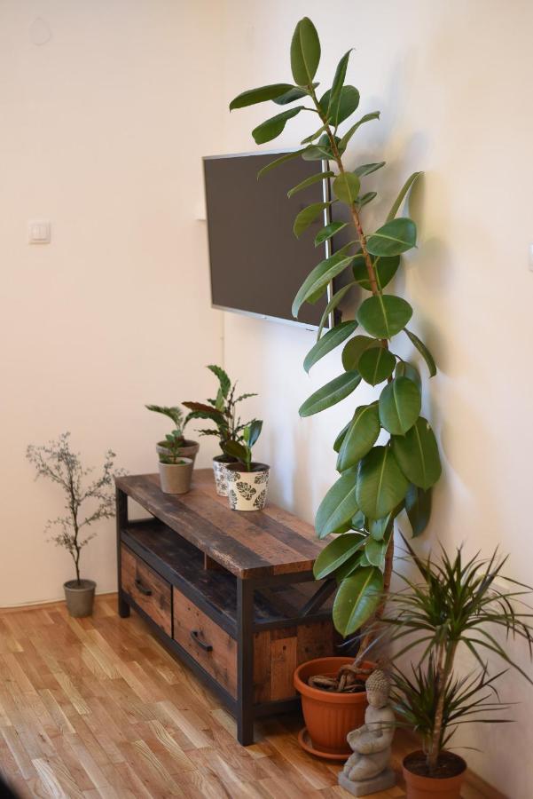 Garden Apartment - Oaza U Centru Grada Нови Сад Екстериор снимка