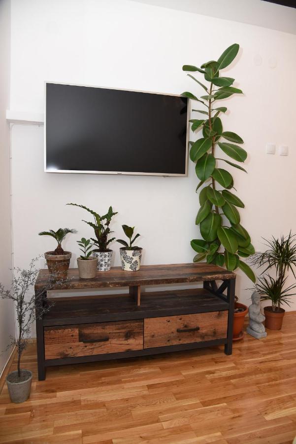 Garden Apartment - Oaza U Centru Grada Нови Сад Екстериор снимка